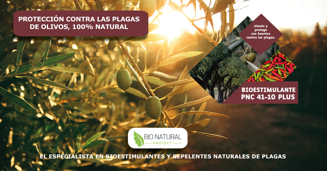 PNC 41-10 Biostimulante con efecto repulsivo para los Olivos